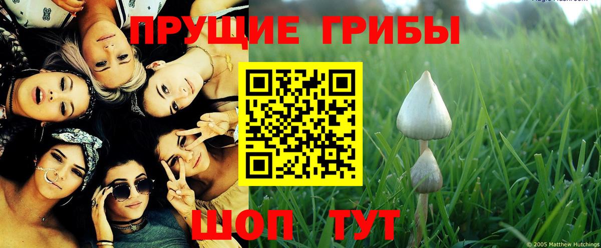 Батайск  Галлюциногенные грибы MAGIC MUSHROOMS  Галлюциногенные грибы MAGIC MUSHROOMS  Вход с VPN 